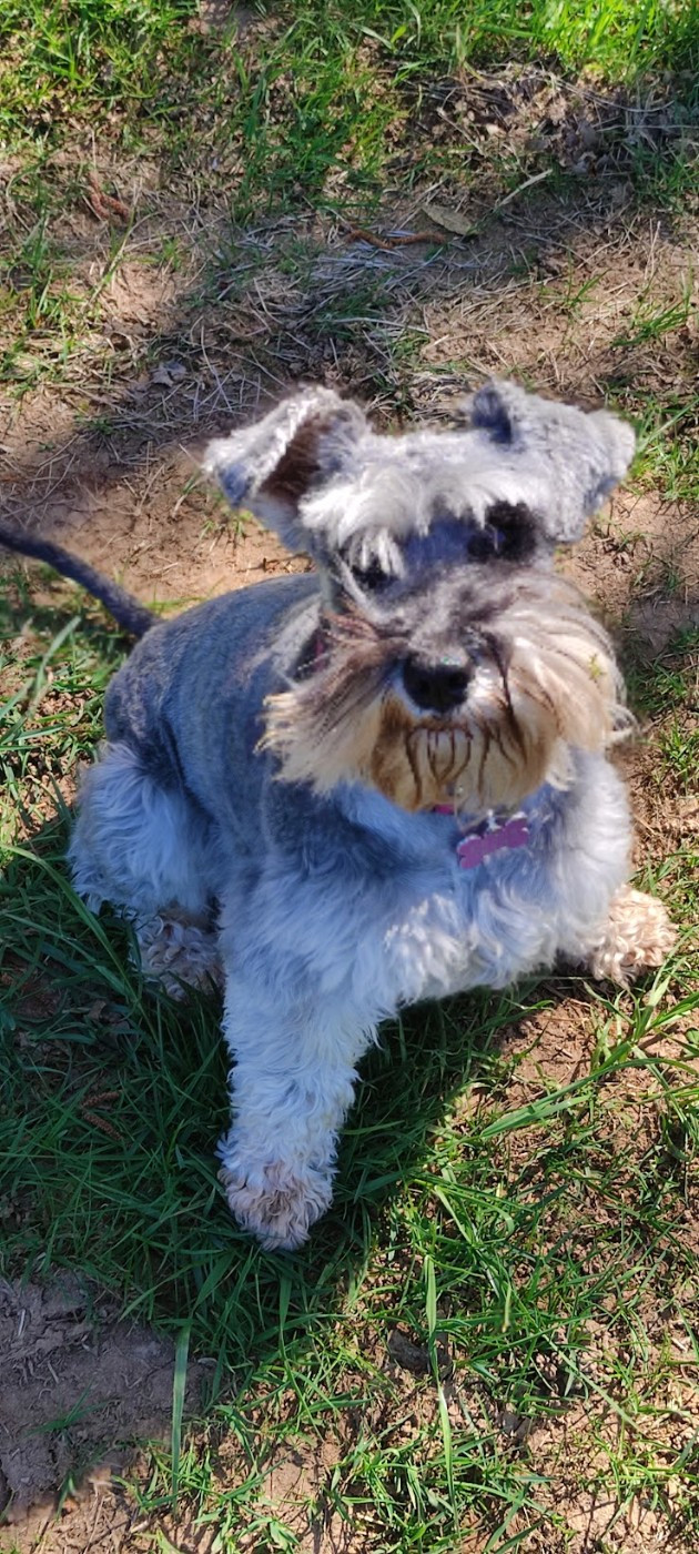 A L'Ouest Des Prés De L'Abby UNA